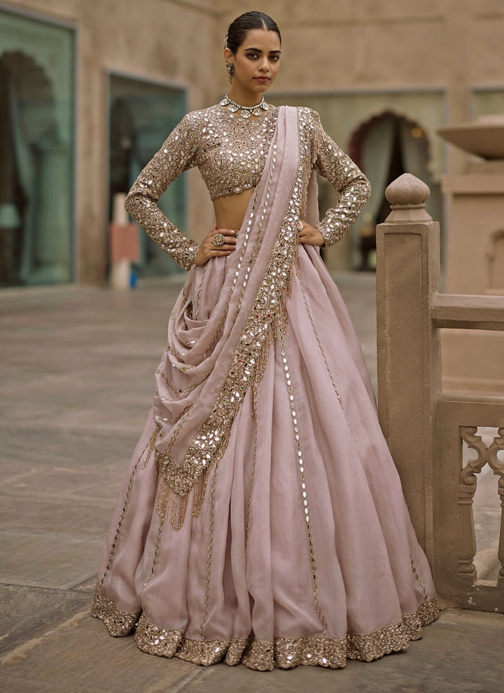 Vvani by Vani Vats Ash Pink Linear Organza LehengaFabilicious Fashion