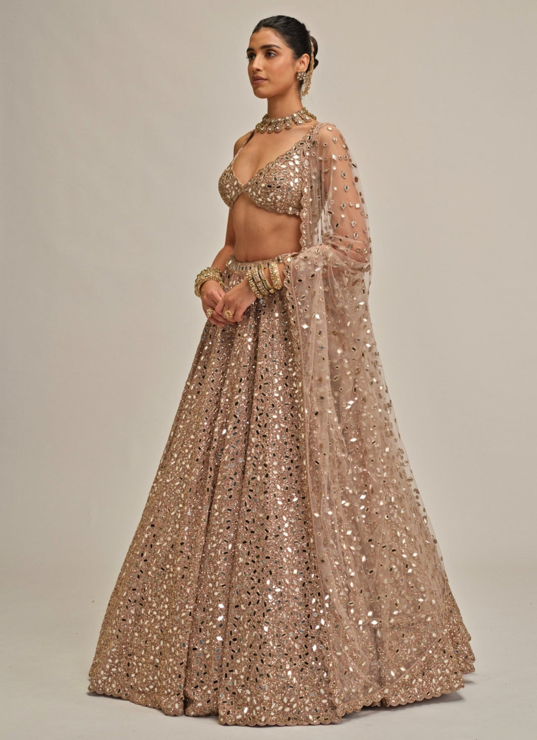Vvani by Vani Vats Ash Pink Mirror Embroidered Crepe LehengaFabilicious Fashion