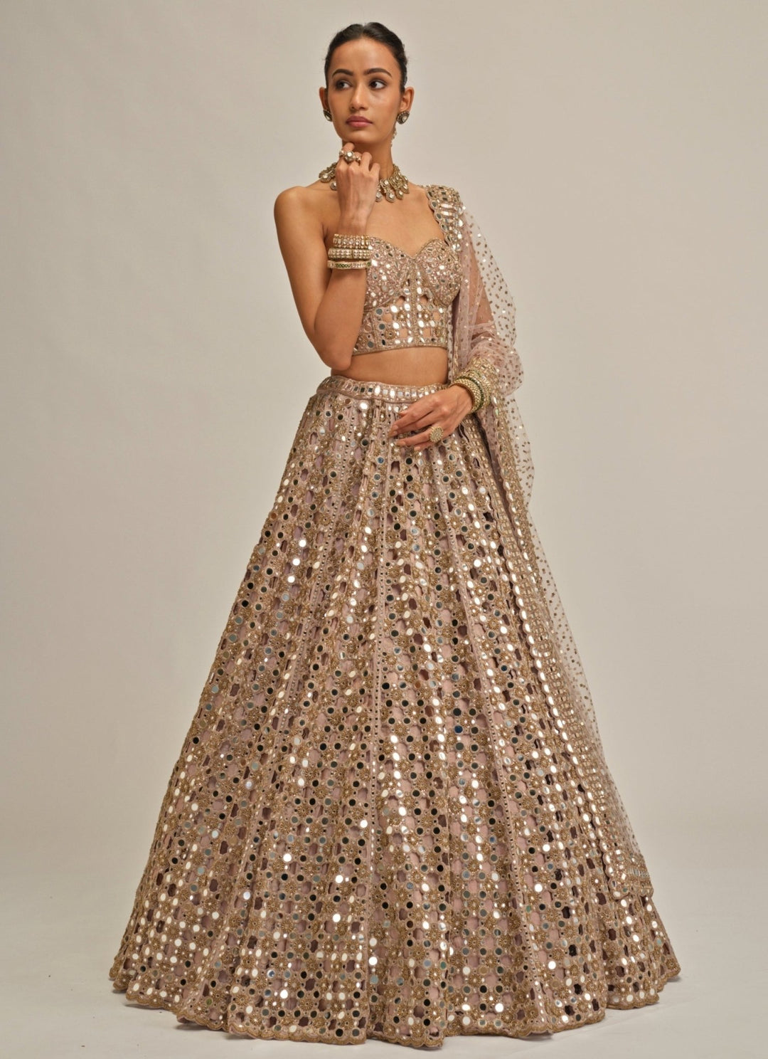 Vvani by Vani Vats Ash Pink Mirror Embroidered Georgette Corset LehengaFabilicious Fashion
