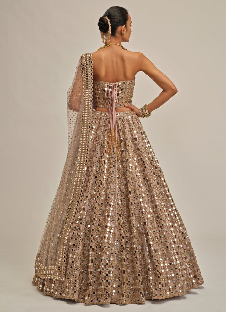 Vvani by Vani Vats Ash Pink Mirror Embroidered Georgette Corset LehengaFabilicious Fashion
