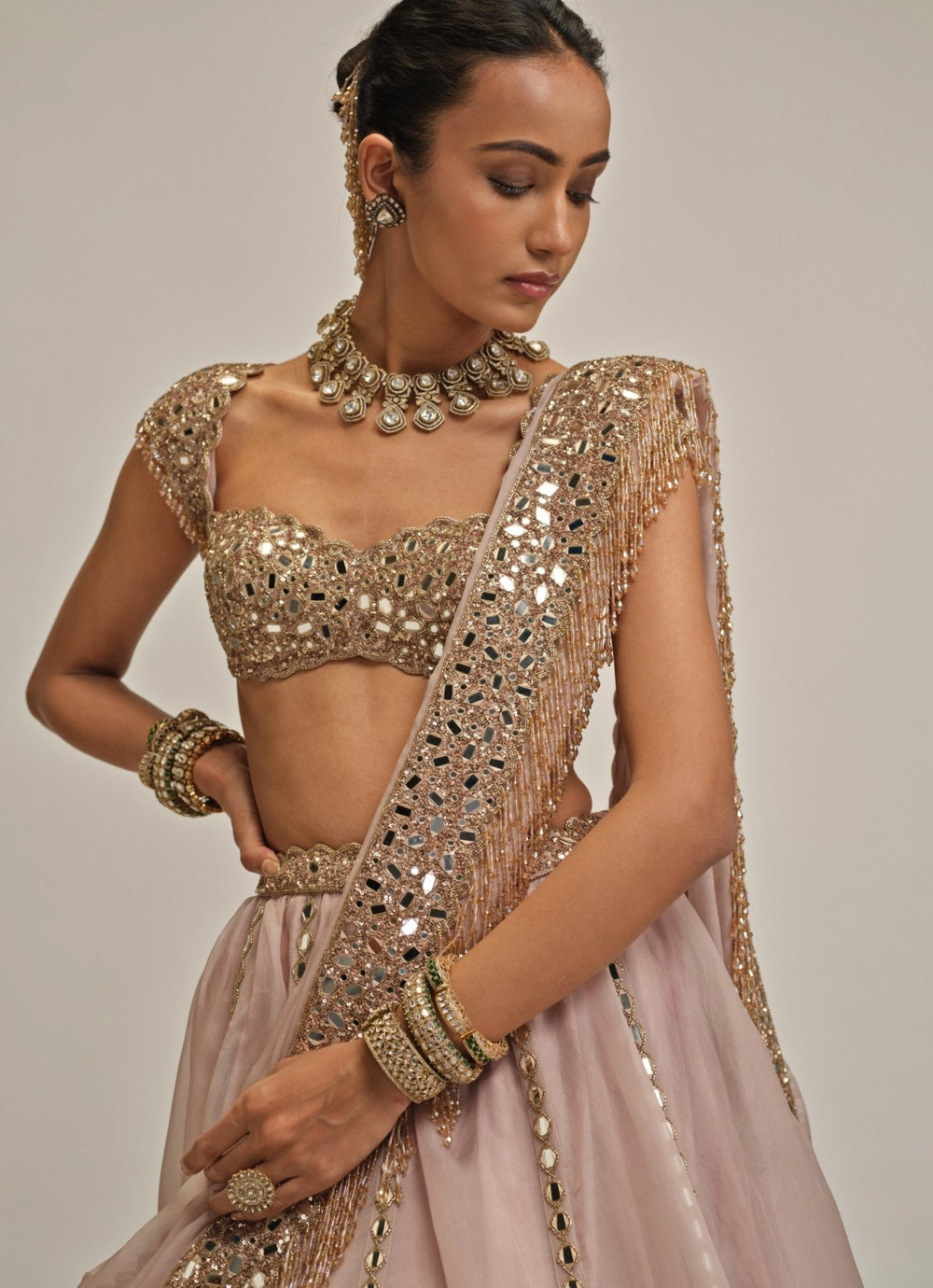 Vvani by Vani Vats Ash Pink Mirror Linear Organza LehengaFabilicious Fashion