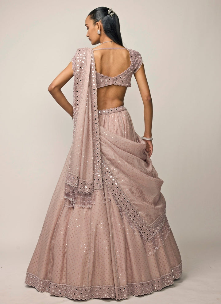 Vvani by Vani Vats Ash Pink Organza Lehenga SetFabilicious Fashion