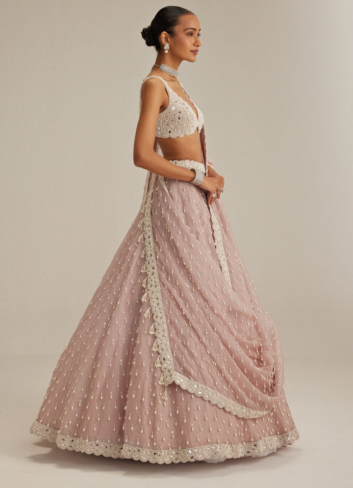 Ash Pink Pearl Drop Organza Lehenga Set Vvani by Vani Vats - Fabilicious Fashion