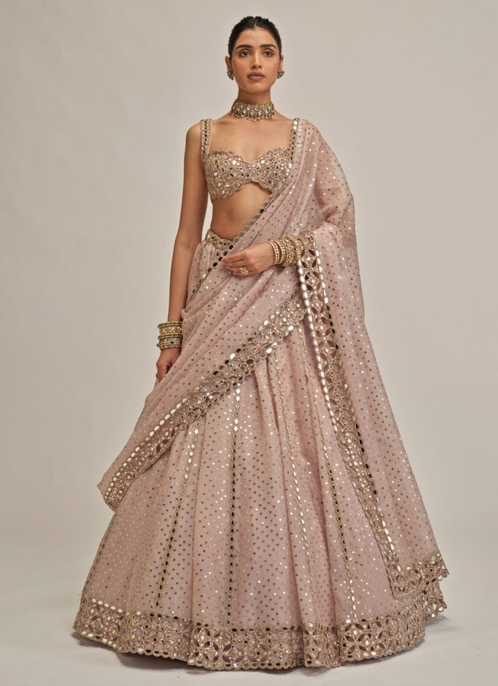 Vvani by Vani Vats Ash Pink Sequins Embroidered Organza LehengaFabilicious Fashion