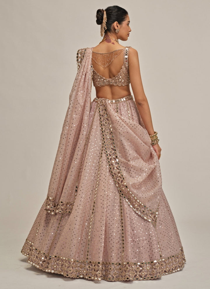 Vvani by Vani Vats Ash Pink Sequins Embroidered Organza LehengaFabilicious Fashion