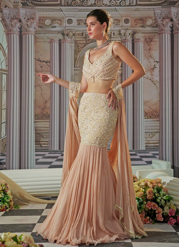 Baby Pink Embroidered Fish Cut Lehenga Nidhika Shekhar - Fabilicious Fashion