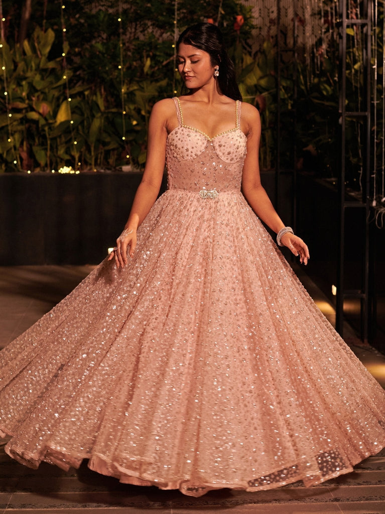 Baby Pink Silver Embroidered Gown
