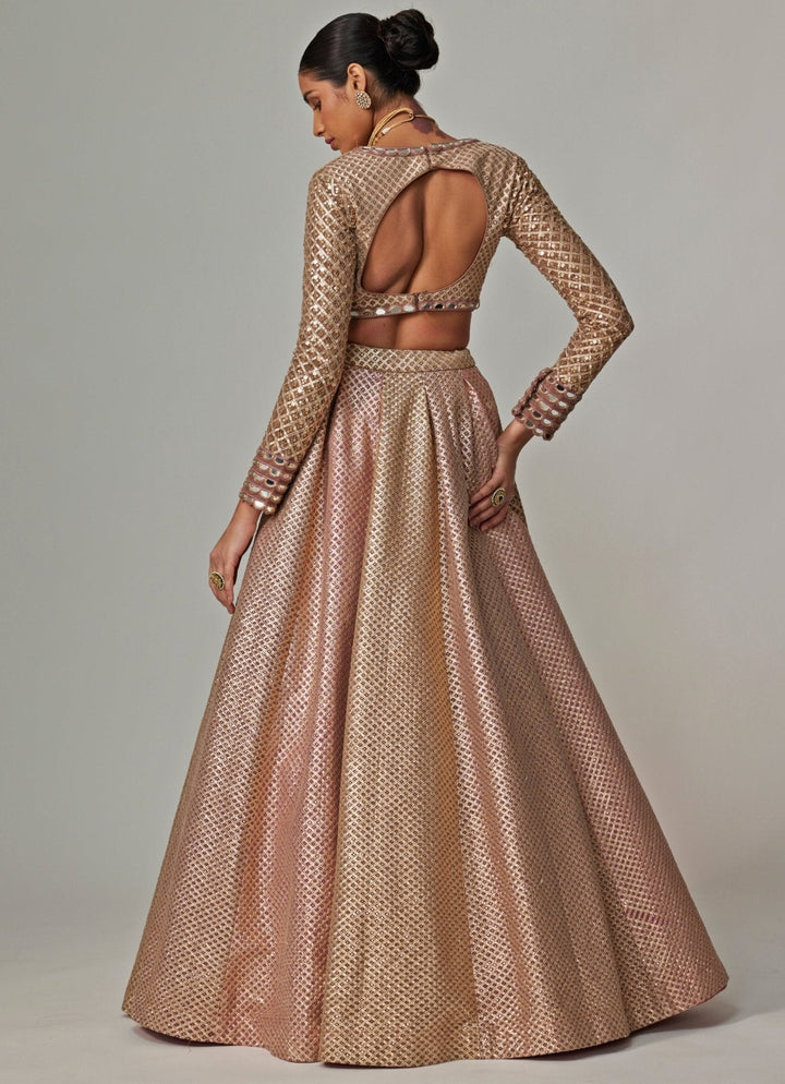 Beige And Blush Pink Embroidered Lehenga Set With Dupatta Vvani by Vani Vats - Fabilicious Fashion