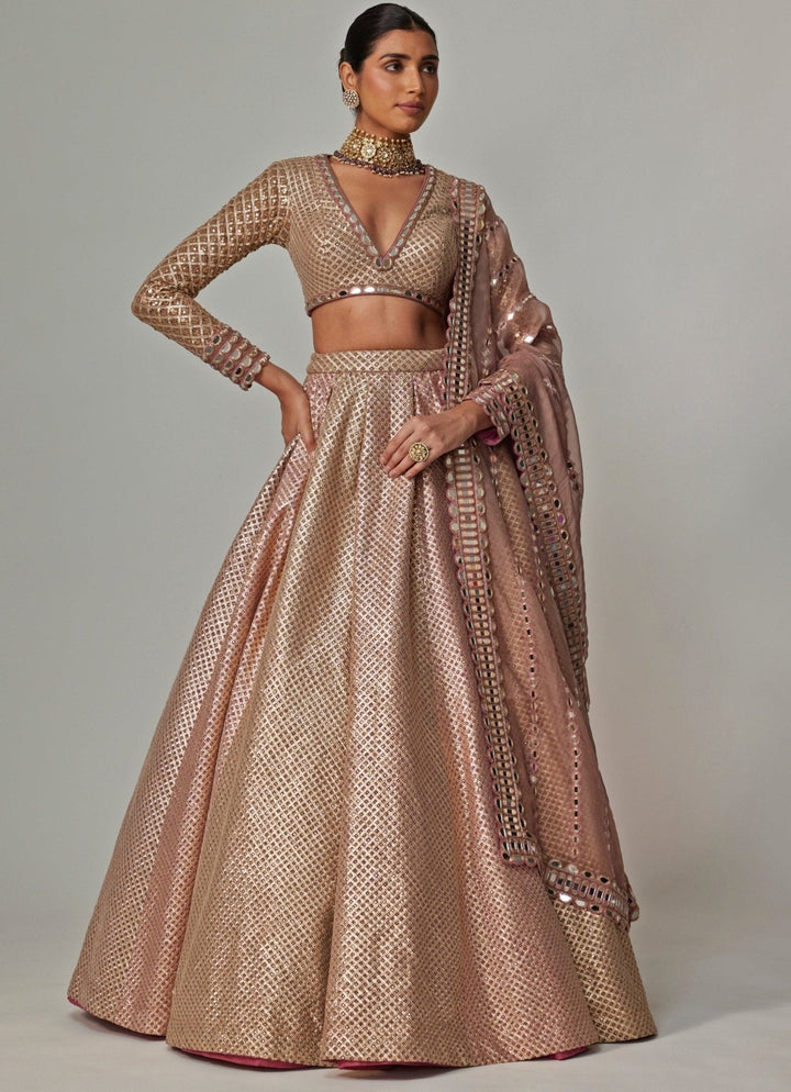 Beige And Blush Pink Embroidered Lehenga Set With Dupatta Vvani by Vani Vats - Fabilicious Fashion