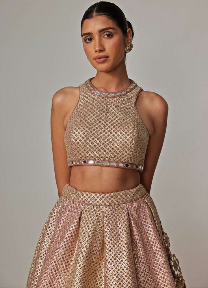 Beige And Blush Pink Embroidered Lehenga Set Vvani by Vani Vats - Fabilicious Fashion