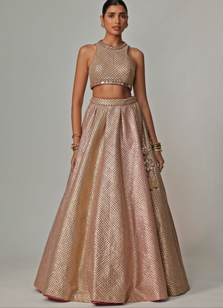 Beige And Blush Pink Embroidered Lehenga Set Vvani by Vani Vats - Fabilicious Fashion