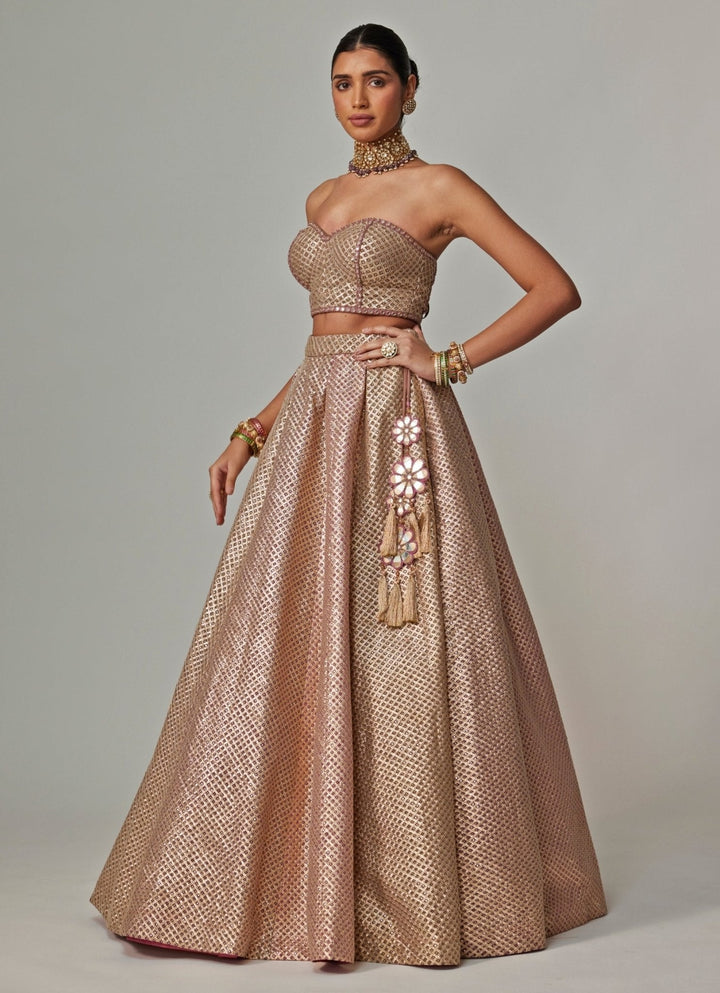 Beige And Blush Pink Embroidered Lehenga With Corset Blouse Vvani by Vani Vats - Fabilicious Fashion