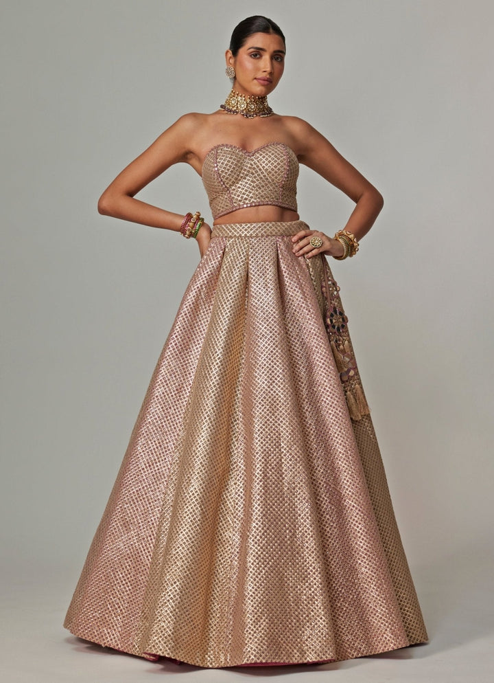Beige And Blush Pink Embroidered Lehenga With Corset Blouse Vvani by Vani Vats - Fabilicious Fashion