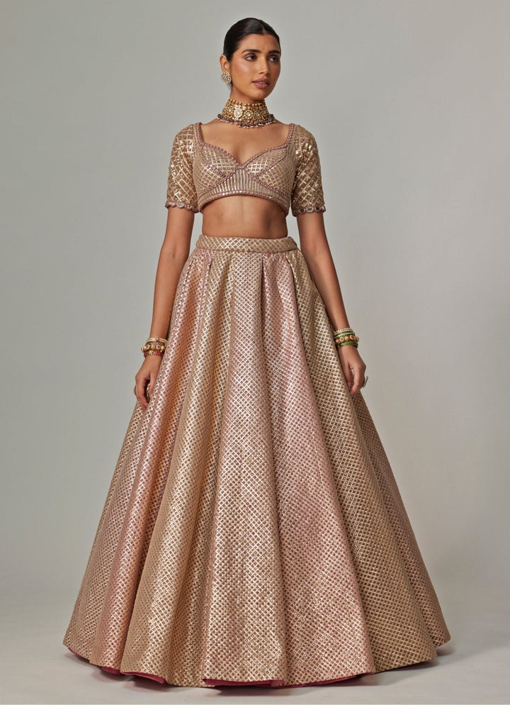 Beige And Blush Pink Embroidered Lehenga With Half Sleeve Blouse Vvani by Vani Vats - Fabilicious Fashion