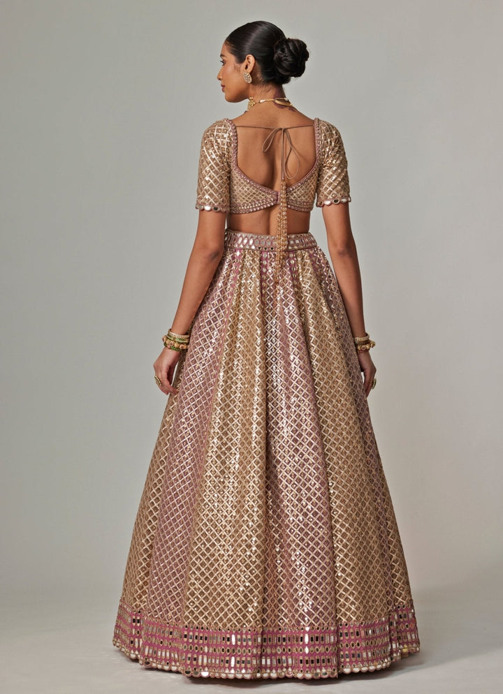 Beige And Blush Pink Metallic Lehenga With Half Sleeve Blouse Vvani by Vani Vats - Fabilicious Fashion