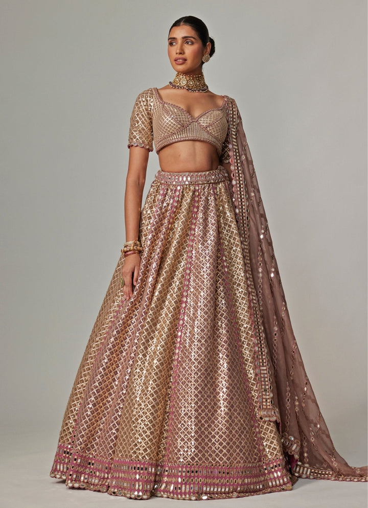 Beige And Blush Pink Metallic Lehenga With Half Sleeve Blouse Vvani by Vani Vats - Fabilicious Fashion