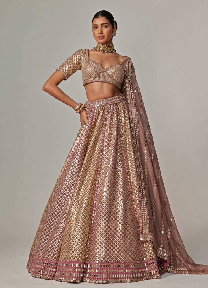 Beige And Blush Pink Metallic Lehenga With Half Sleeve Blouse Vvani by Vani Vats - Fabilicious Fashion