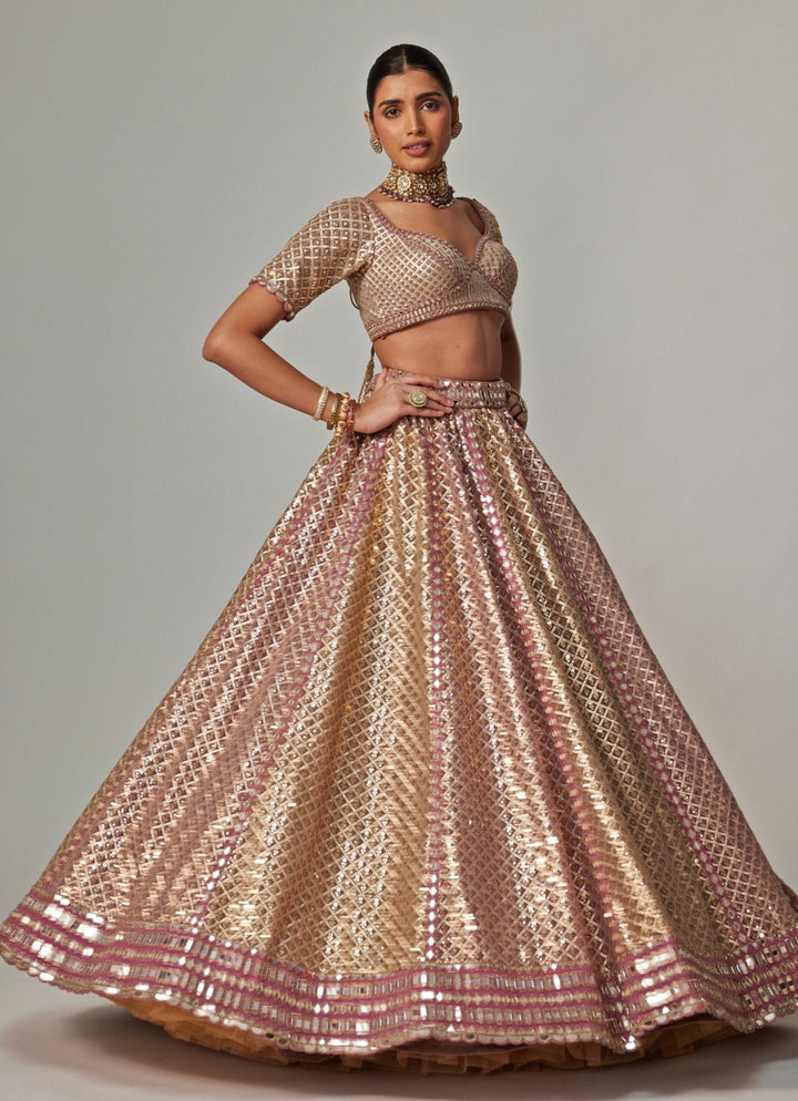 Beige And Blush Pink Metallic Lehenga With Half Sleeve Blouse Vvani by Vani Vats - Fabilicious Fashion