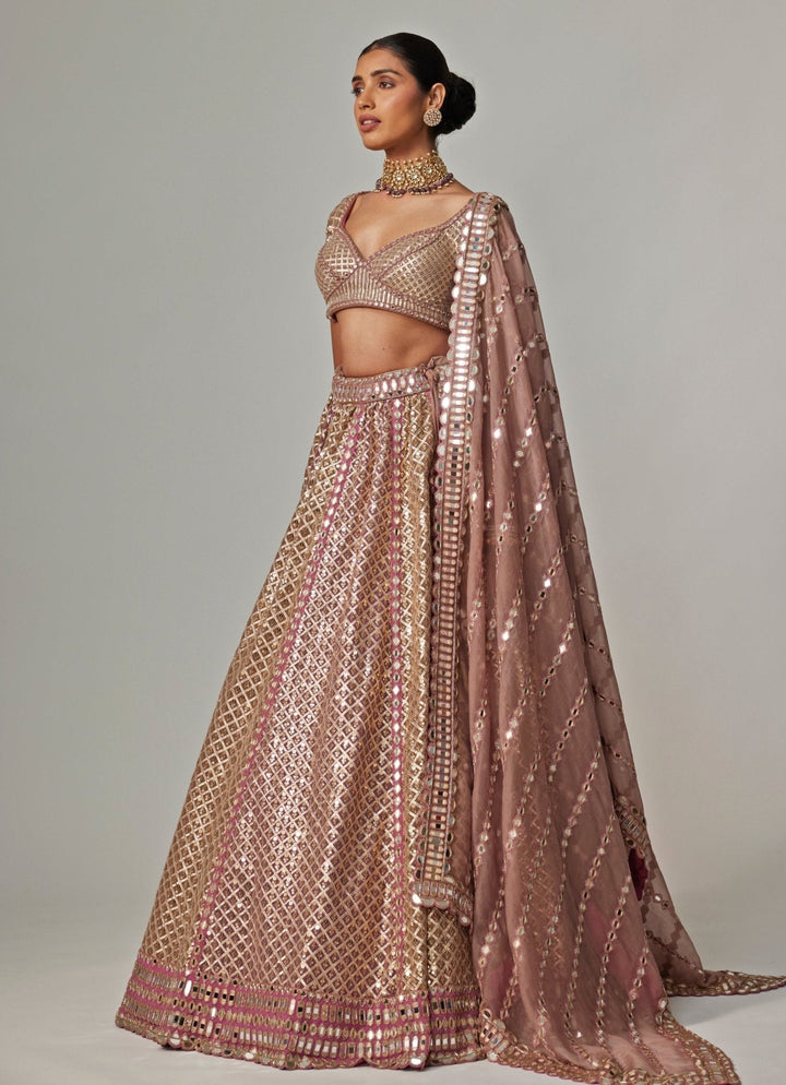 Beige And Blush Pink Metallic Lehenga With Half Sleeve Blouse Vvani by Vani Vats - Fabilicious Fashion