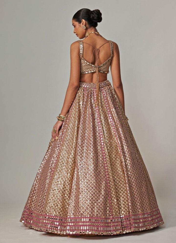 Beige And Blush Pink Metallic Lehenga With Sleeveless Blouse Vvani by Vani Vats - Fabilicious Fashion