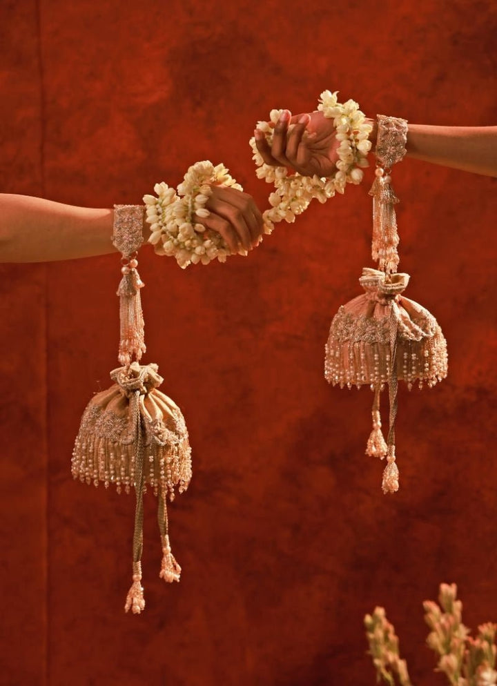 Amyra Beige Embroidered Silk Organza PotliFabilicious Fashion