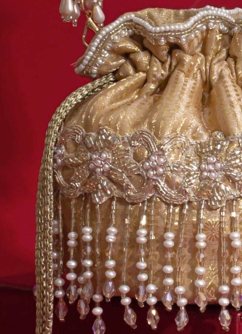 Amyra Beige Embroidered Silk Organza PotliFabilicious Fashion