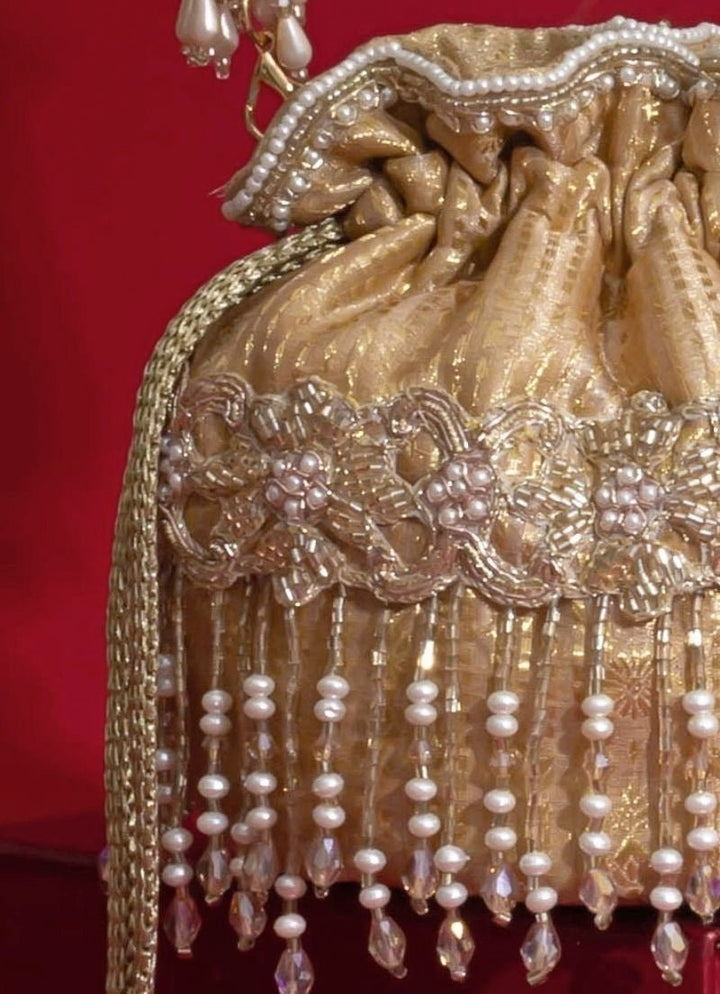 Amyra Beige Embroidered Silk Organza PotliFabilicious Fashion