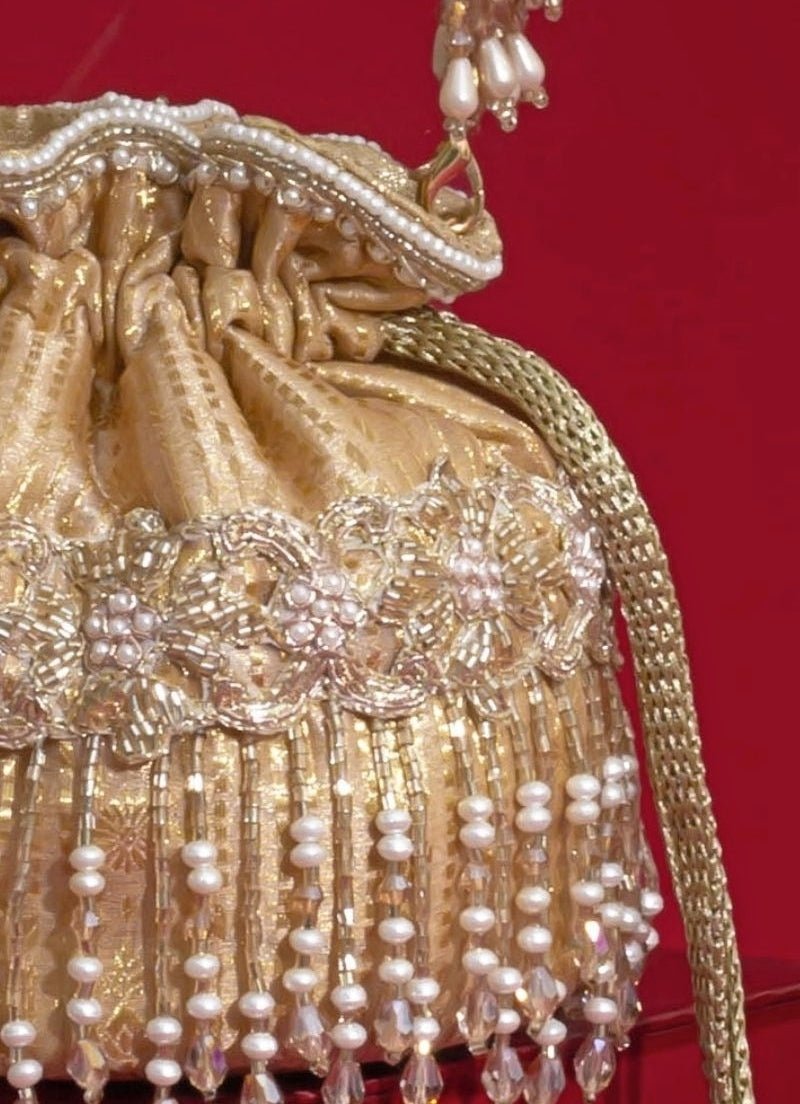 Amyra Beige Embroidered Silk Organza PotliFabilicious Fashion