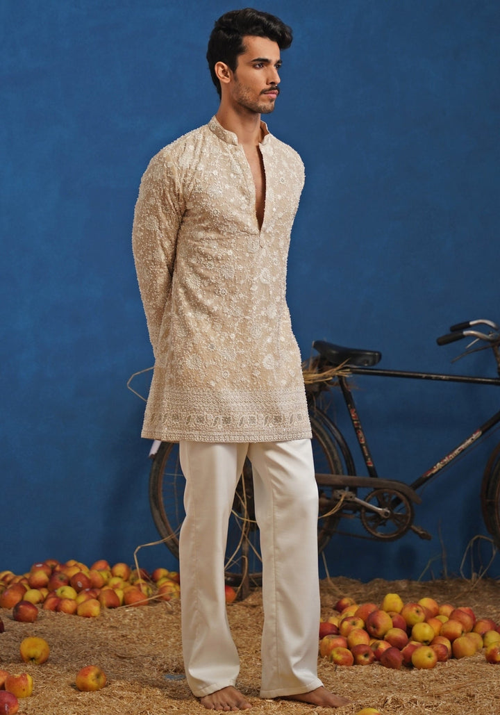 Beige Georgette Short Kurta Set Kalpraag - Fabilicious Fashion