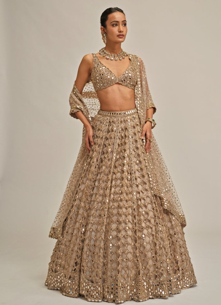 Vvani by Vani Vats Beige Gold Diamond And Mirror Cutwork Georgette LehengaFabilicious Fashion