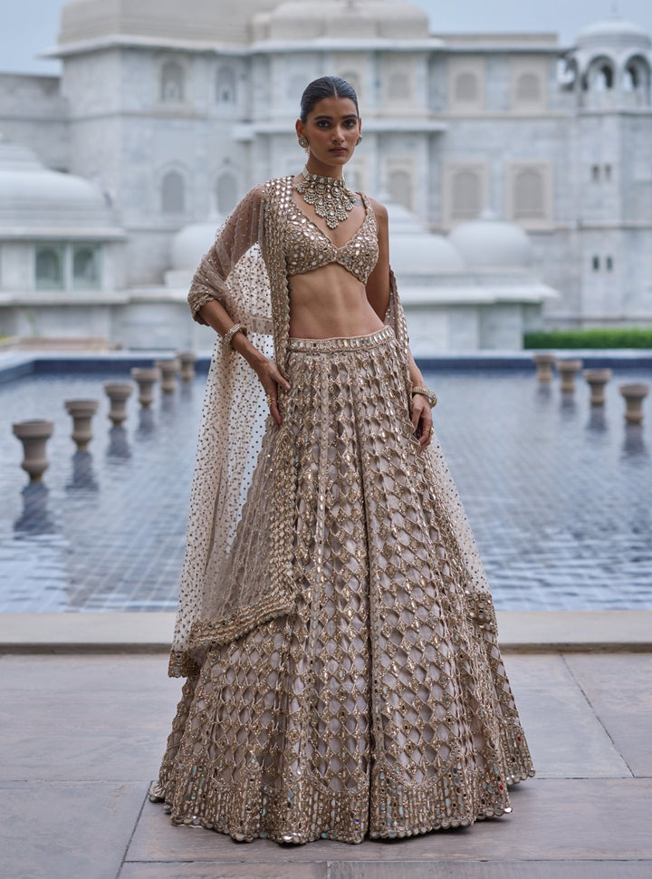 Vvani by Vani Vats Beige Gold Diamond And Mirror Cutwork Georgette LehengaFabilicious Fashion
