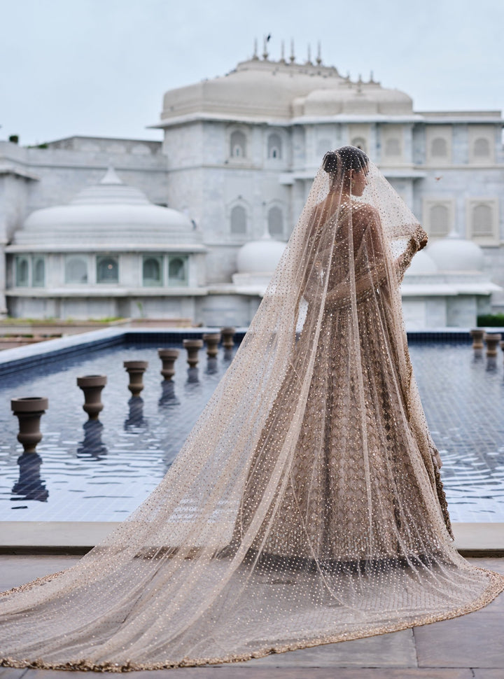 Vvani by Vani Vats Beige Gold Diamond And Mirror Cutwork Georgette LehengaFabilicious Fashion