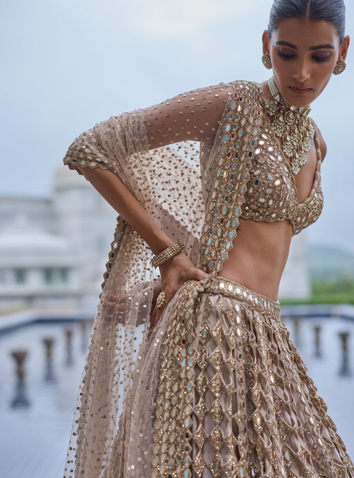 Vvani by Vani Vats Beige Gold Diamond And Mirror Cutwork Georgette LehengaFabilicious Fashion