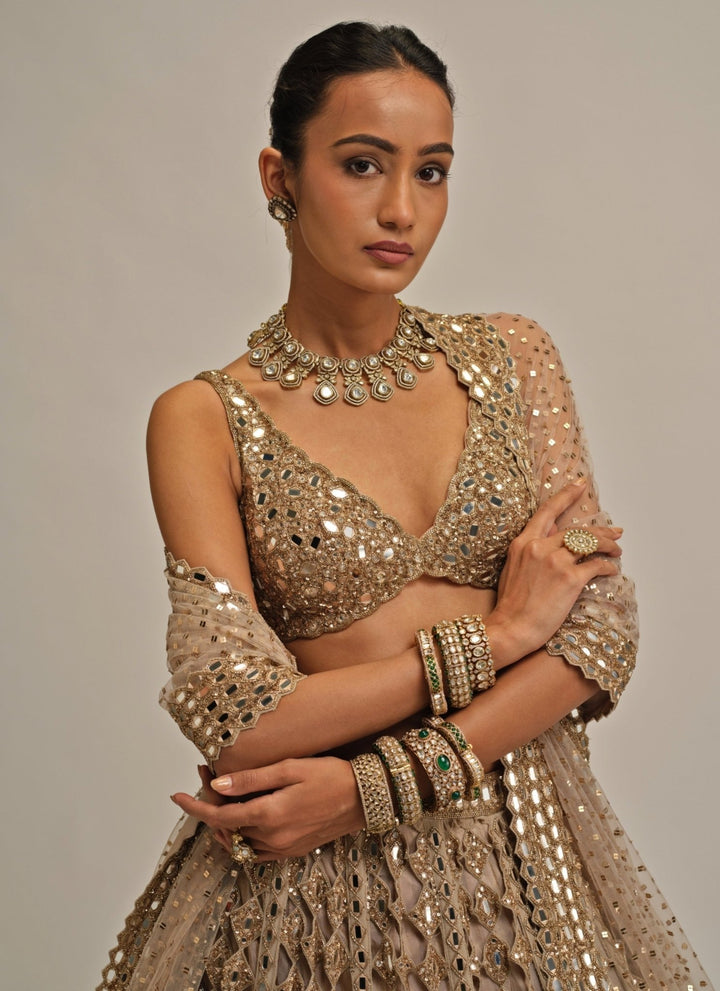 Vvani by Vani Vats Beige Gold Diamond And Mirror Cutwork Georgette LehengaFabilicious Fashion