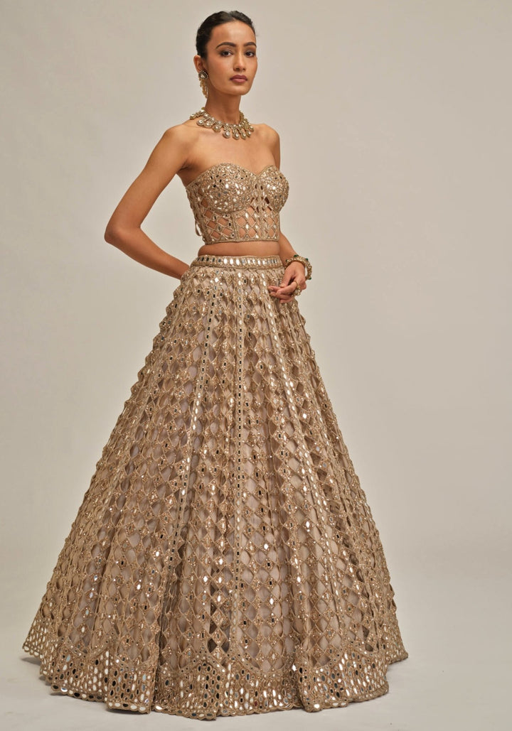 Vvani by Vani Vats Beige Gold Embroidered Georgette Corset LehengaFabilicious Fashion