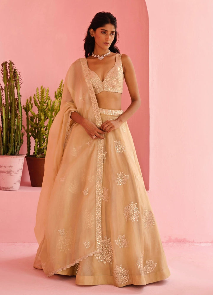 Beige Gold Embroidered Organza Lehenga Set Chamee and Palak - Fabilicious Fashion