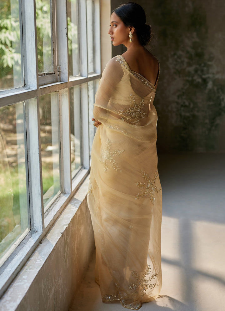 Beige Gold Embroidered Pure Silk Organza Saree Zoon Tribe - Fabilicious Fashion