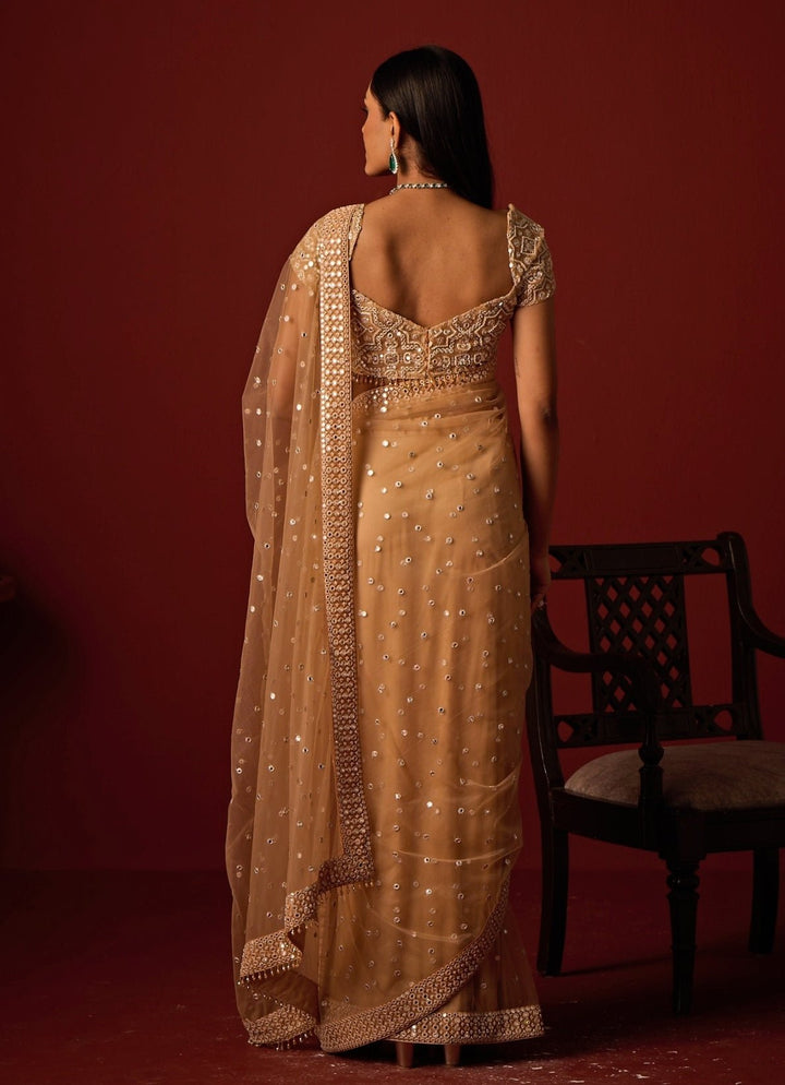 Beige Gold Embroidered Soft Net Saree Twenty Nine - Fabilicious Fashion