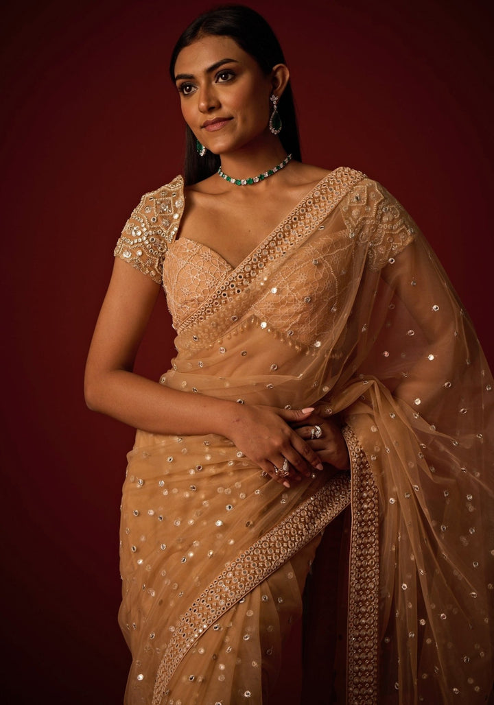 Beige Gold Embroidered Soft Net Saree Twenty Nine - Fabilicious Fashion