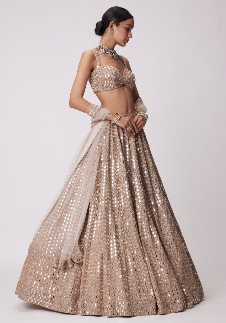 Beige Gold Lehenga With Embroidered Mirror Blouse Vvani by Vani Vats - Fabilicious Fashion
