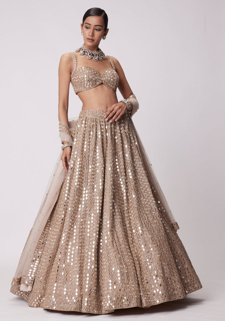 Beige Gold Lehenga With Embroidered Mirror Blouse Vvani by Vani Vats - Fabilicious Fashion