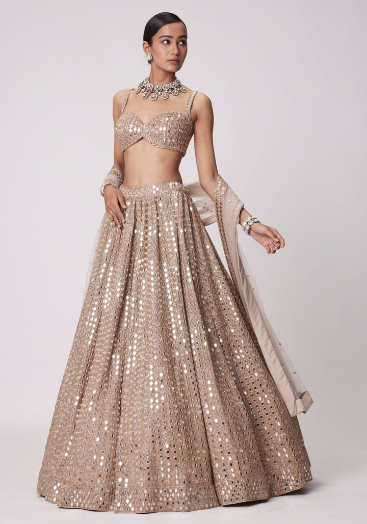 Beige Gold Lehenga With Embroidered Mirror Blouse Vvani by Vani Vats - Fabilicious Fashion