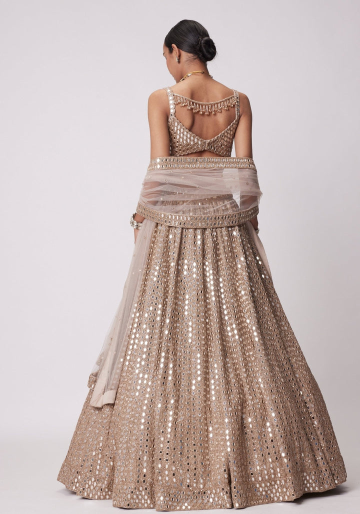 Beige Gold Lehenga With Embroidered Mirror Blouse Vvani by Vani Vats - Fabilicious Fashion
