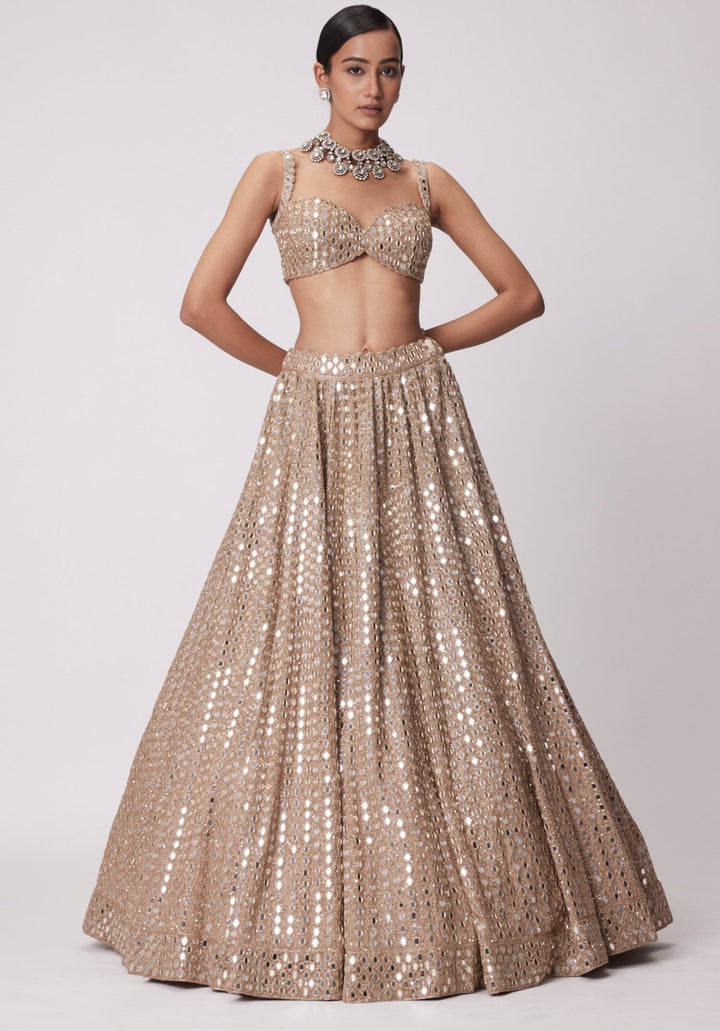 Beige Gold Lehenga With Embroidered Mirror Blouse Vvani by Vani Vats - Fabilicious Fashion