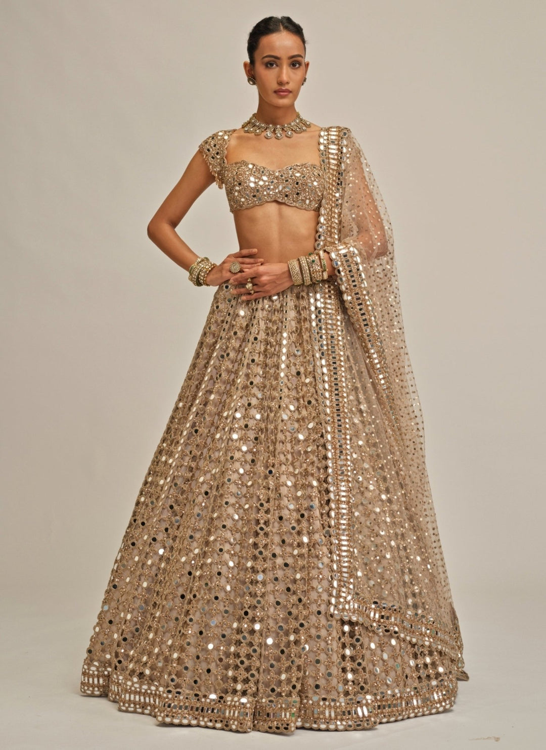 Vvani by Vani Vats Beige Gold Mirror Embroidered Georgette LehengaFabilicious Fashion