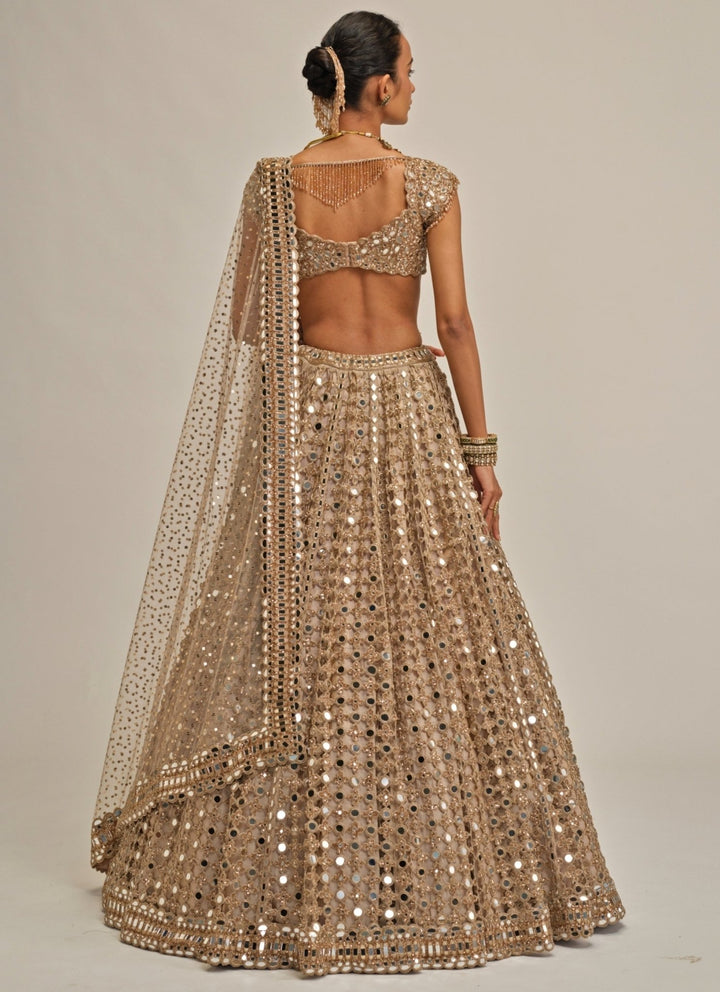 Vvani by Vani Vats Beige Gold Mirror Embroidered Georgette LehengaFabilicious Fashion