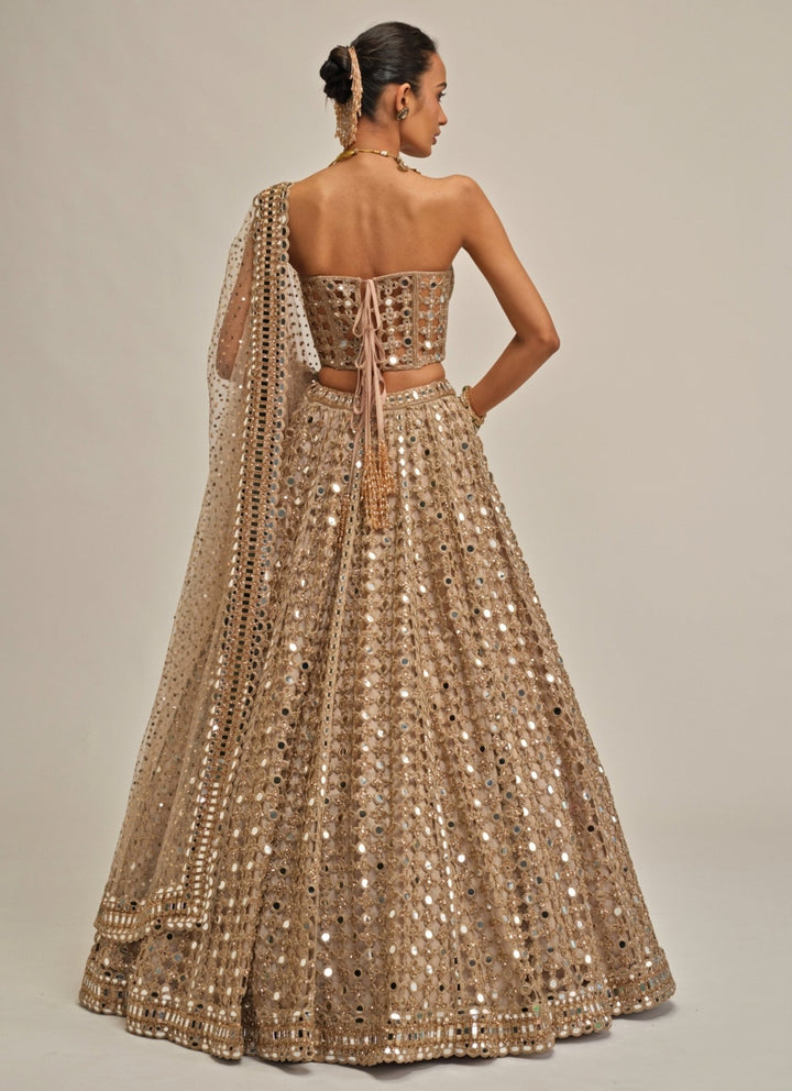 Vvani by Vani Vats Beige Gold Mirror Georgette Corset LehengaFabilicious Fashion