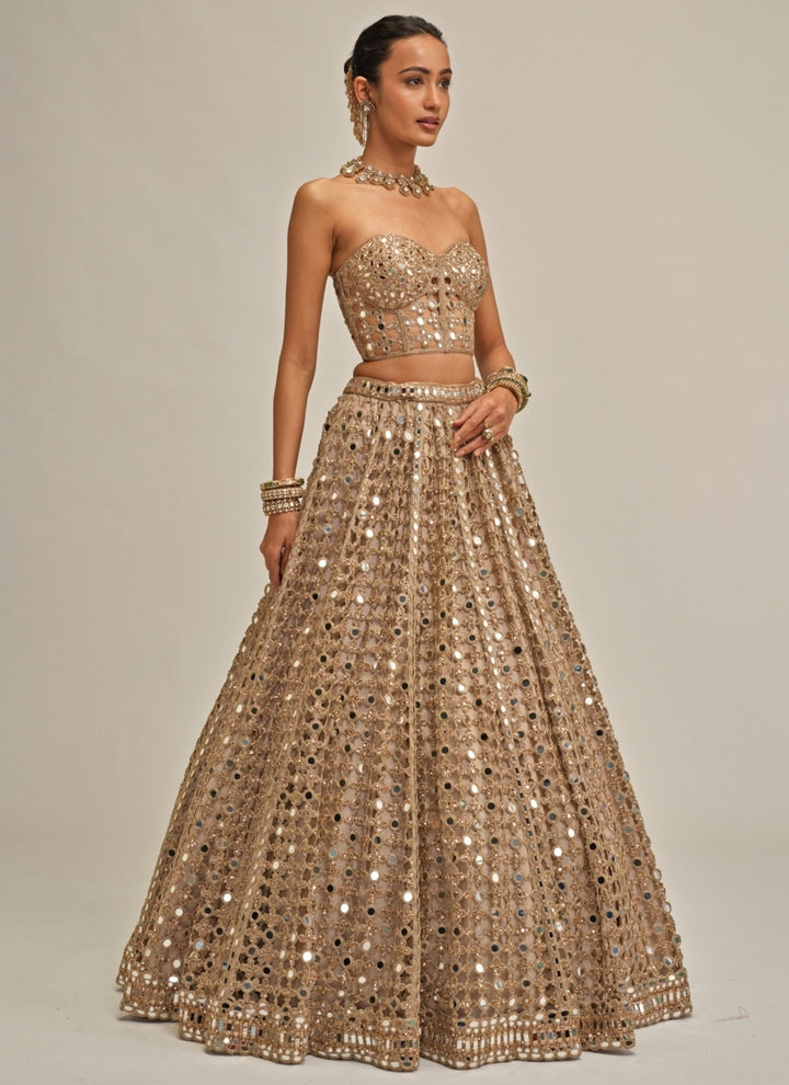 Vvani by Vani Vats Beige Gold Mirror Georgette Corset LehengaFabilicious Fashion