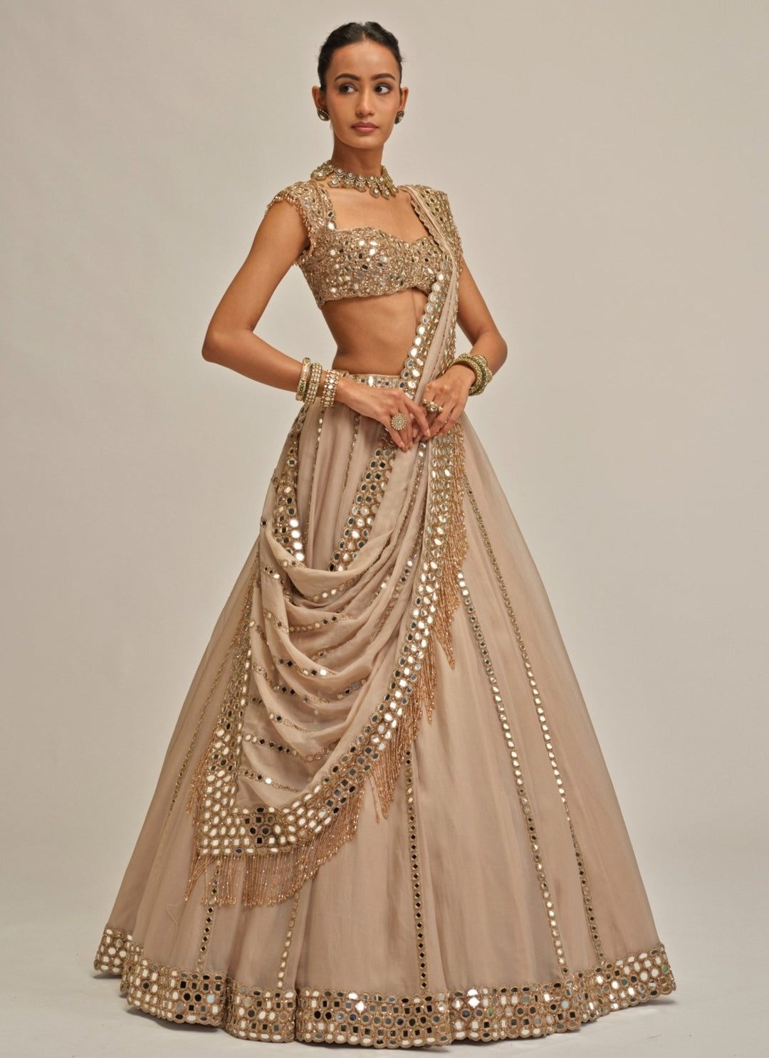 Vvani by Vani Vats Beige Gold Mirror Linear Organza LehengaFabilicious Fashion