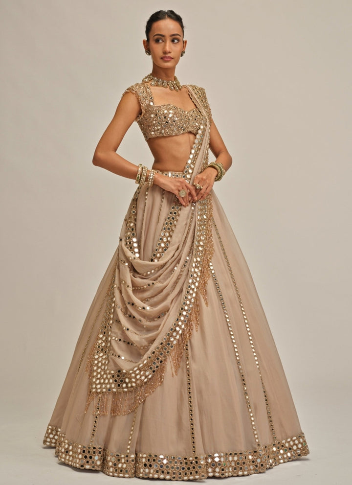 Vvani by Vani Vats Beige Gold Mirror Linear Organza LehengaFabilicious Fashion